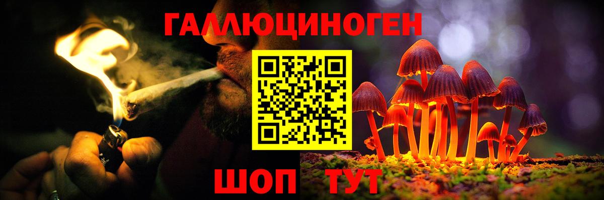 Кунгур  сколько стоит  Вход с VPN  Псилоцибиновые грибы ЛСД 